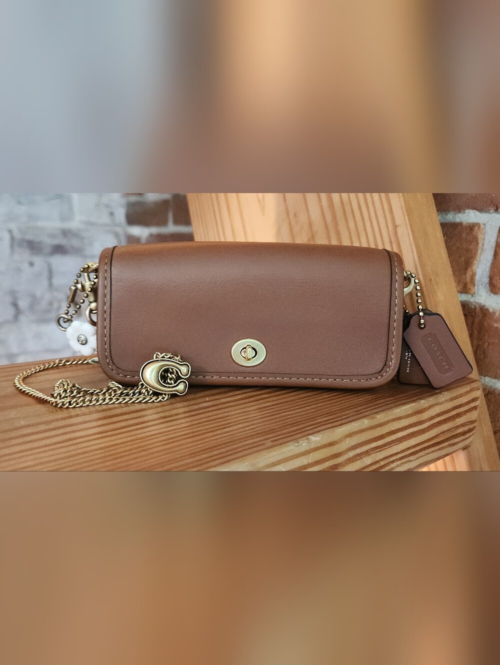 Coach 'Summer I Turned Pretty' Dinky 14